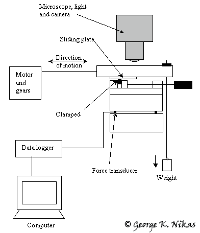 Layout of the seal rig.