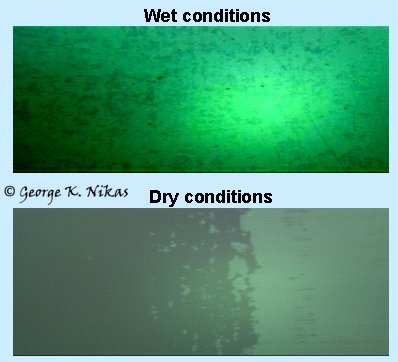 An image of an O-ring seal in contact with a glass plate under light load.